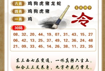 125期香港彩九肖30码中特