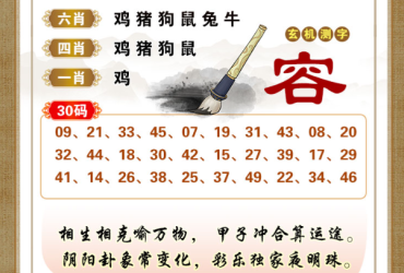2025031期香港彩九肖30码中特