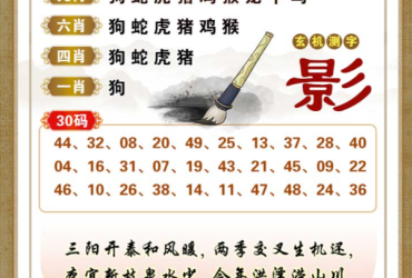 2025133期香港彩九肖30码中特