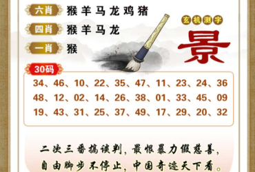 2026011期香港彩九肖30码中特