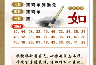 2026021期香港彩九肖30码中特