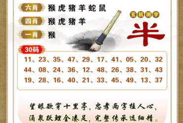 2026024期香港彩九肖30码中特