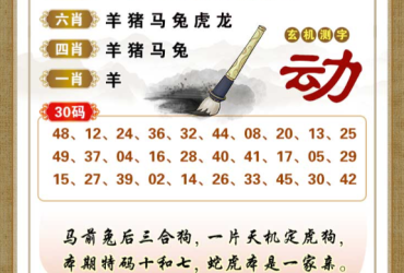 2026030期香港彩九肖30码中特