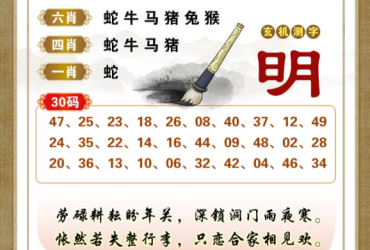 2026034期香港彩九肖30码中特