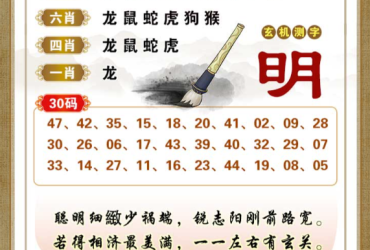 2026046期香港彩九肖30码中特