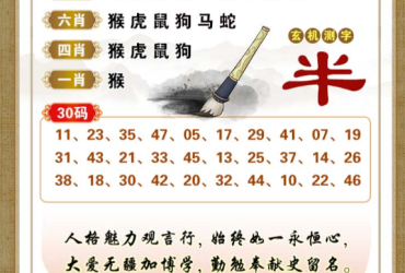 2026055期香港彩九肖30码中特