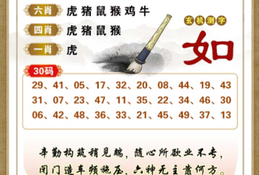 2026060期香港彩九肖30码中特