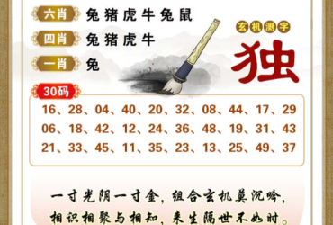 2026061期香港彩九肖30码中特
