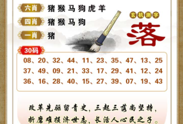 2026062期香港彩九肖30码中特