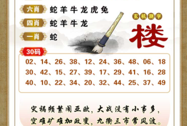 2026069期香港彩九肖30码中特
