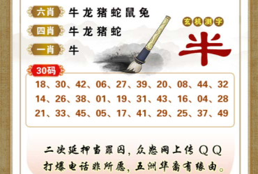 2026071期香港彩九肖30码中特