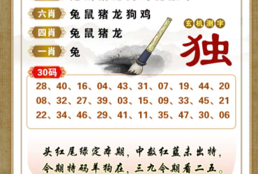 2026072期香港彩九肖30码中特
