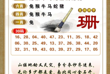 2026073期香港彩九肖30码中特