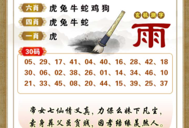 2026079期香港彩九肖30码中特