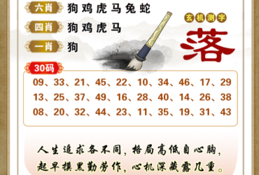 2026114期香港彩九肖30码中特